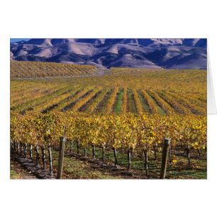 Kalifornien, San Luis Obispo County, Edna Valley Hälsningskort