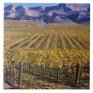 Kalifornien, San Luis Obispo County, Edna Valley Kakelplatta