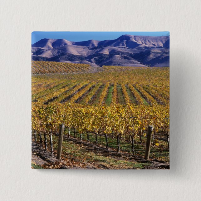 Kalifornien, San Luis Obispo County, Edna Valley Knapp (Framsida)