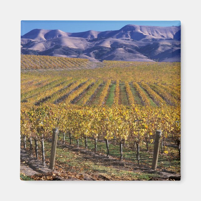 Kalifornien, San Luis Obispo County, Edna Valley Magnet (Framsidan)