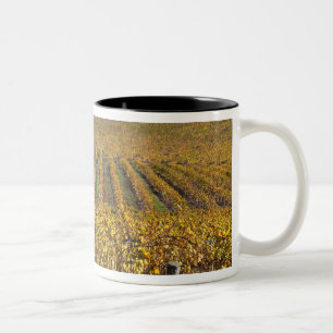 Kalifornien, San Luis Obispo County, Edna Valley Två-Tonad Mugg