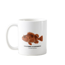 Kalifornien Scorpionfish - Marine Animals of Calif