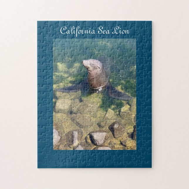 Kalifornien Sea Lejon Puzzle Pussel (Vertikal)