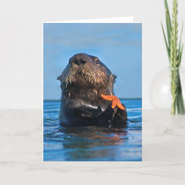 Kalifornien Sea Otter Holding Starfish Kort