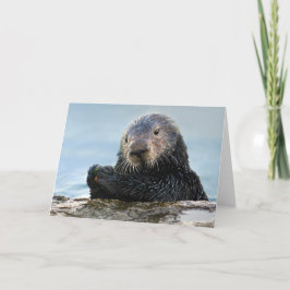 Kalifornien Sea Otter Spela med Stone Kort