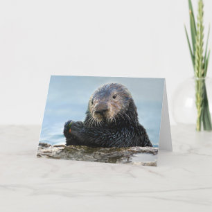 Kalifornien Sea Otter Spela med Stone Kort