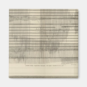 Kalifornien Seismogram 10 Magnet