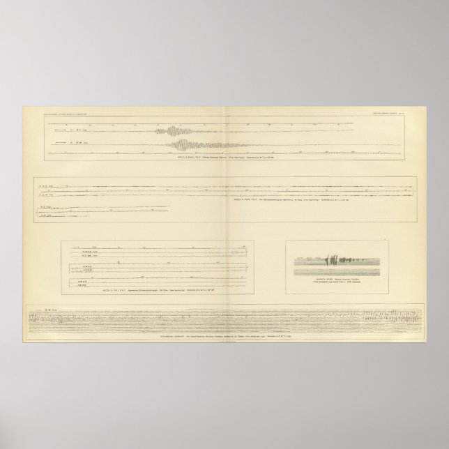 Kalifornien Seismogram 14 Poster (Framsidan)