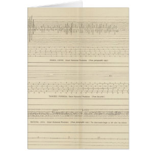 Kalifornien Seismogram 15 Hälsningskort