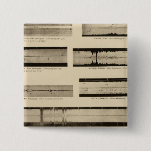 Kalifornien Seismogram 2 Knapp