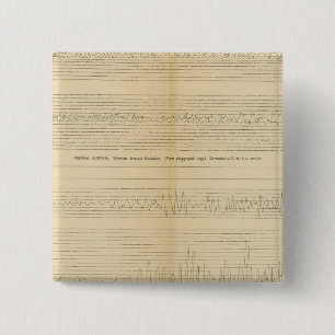 Kalifornien Seismogram 9 Knapp