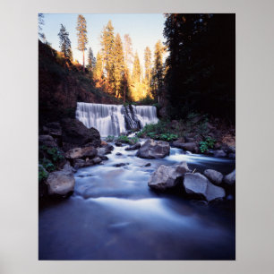 Kalifornien, Shasta-Trinity National Forest Poster