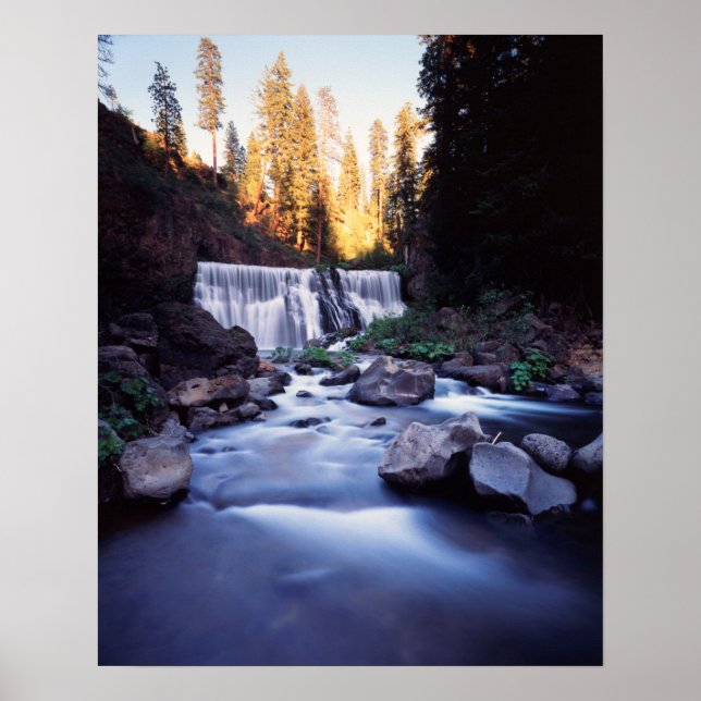 Kalifornien, Shasta-Trinity National Forest Poster (Framsidan)