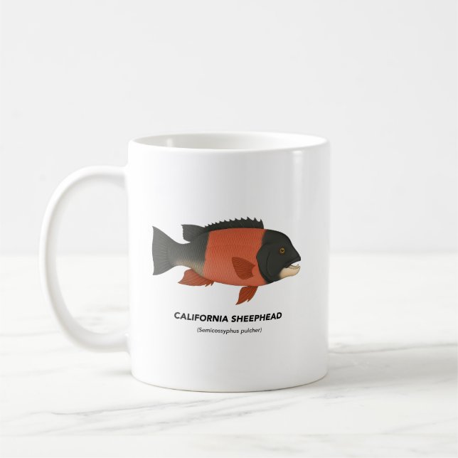 Kalifornien Sheephead - Marine Animals of Californ Kaffemugg (Vänster)