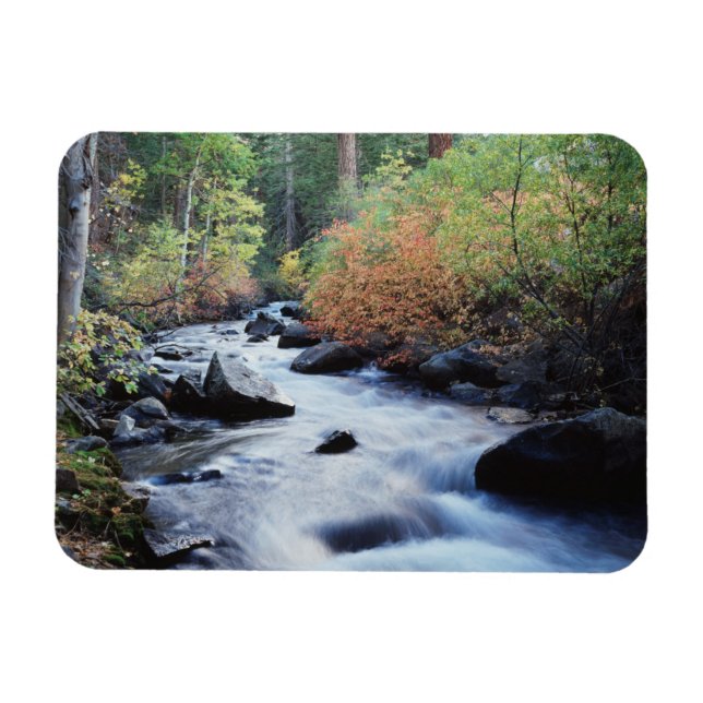 Kalifornien, Sierra Nevada-bergen 11 Magnet (Horisontell)