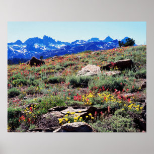 Kalifornien, Sierra Nevada Mountain 1 Poster