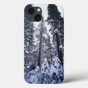 Kalifornien, Sierra Nevadafloden 9