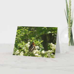 Kalifornien Sister Butterfly i Yosemite Kort