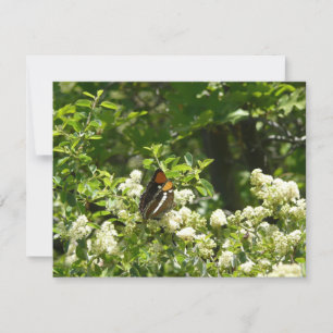 Kalifornien Sister Butterfly i Yosemite Kort