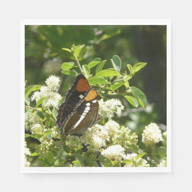 Kalifornien Sister Butterfly i Yosemite Pappersservett (Framsidan)