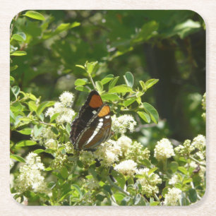 Kalifornien Sister Butterfly i Yosemite Underlägg Papper Kvadrat