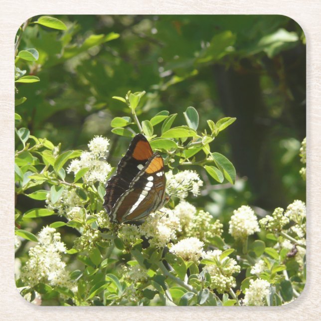 Kalifornien Sister Butterfly i Yosemite Underlägg Papper Kvadrat (Framsidan)