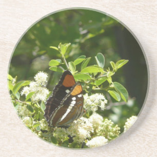 Kalifornien Sister Butterfly i Yosemite Underlägg Sandsten