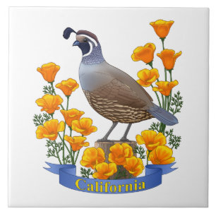Kalifornien State Bird Quail & Golden Poppy Kakelplatta