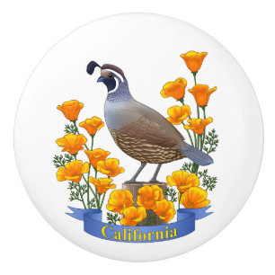 Kalifornien State Bird Quail & Golden Poppy Knopp