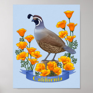 Kalifornien Statens Fågel Vaktel & Golden Poppy Poster