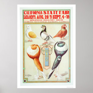 Kalifornien statlig mässa 1909 poster