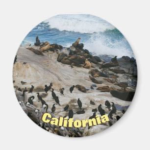 Kalifornien strand magnet