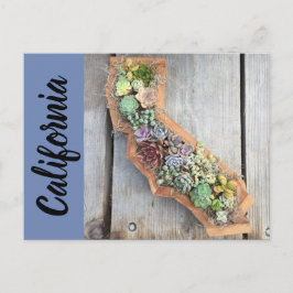 Kalifornien Succulent Postcard Vykort