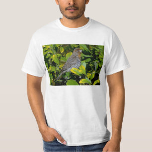 Kalifornien Towhee Tee