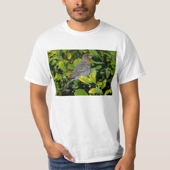 Kalifornien Towhee Tee (Framsida)