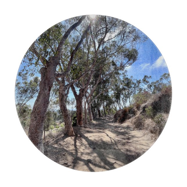 Kalifornien träd under hösten sol.. (Framsidan)