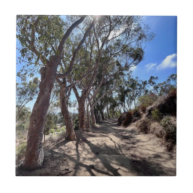 Kalifornien träd under hösten sol.. kakelplatta (Framsidan)