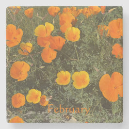 KALIFORNIEN UNDERLÄGG: FEBRUARI STONE UNDERLÄGG