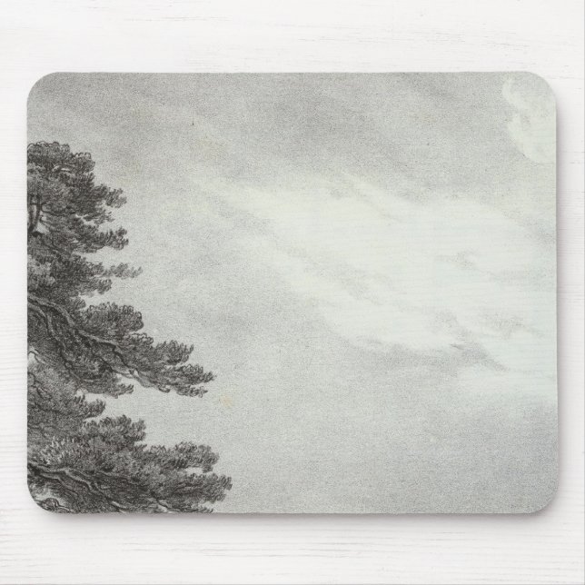 Kalifornien Uppdrag Musmatta (Framsidan)