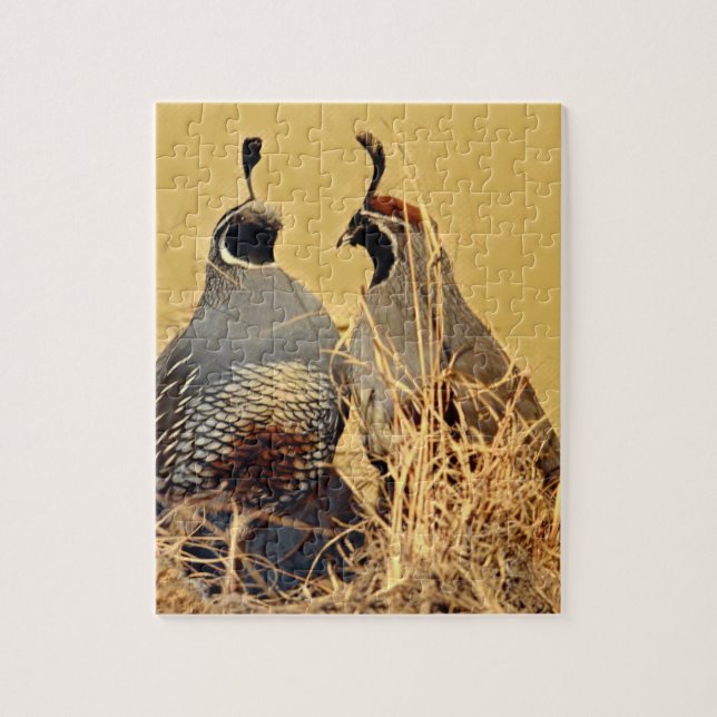 Kalifornien Valley Quail Pussel (Vertikal)