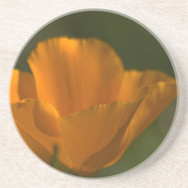 Kalifornien vallmokustfartyg underlägg sandsten