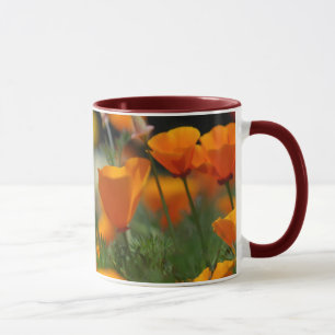 Kalifornien vallmomugg mugg