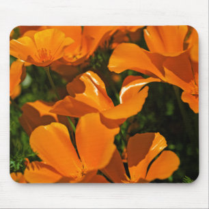 Kalifornien vallmor Mousepad Musmatta