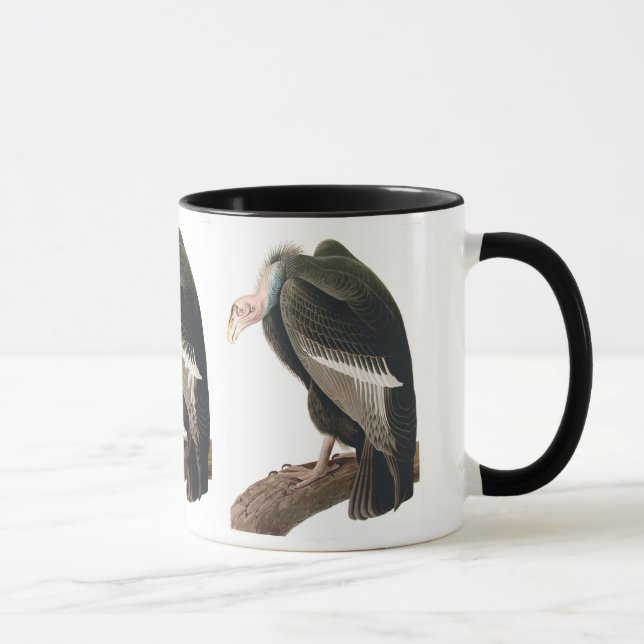 Kalifornien Vculture (Condor), Audubon Fine Art Mugg (Höger)