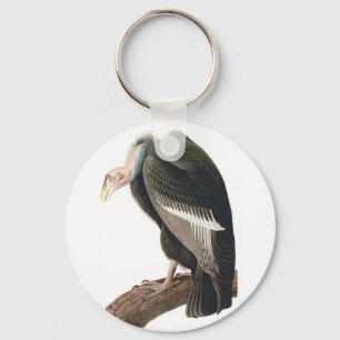 Kalifornien Vculture (Condor), Audubon Fine Art Nyckelring