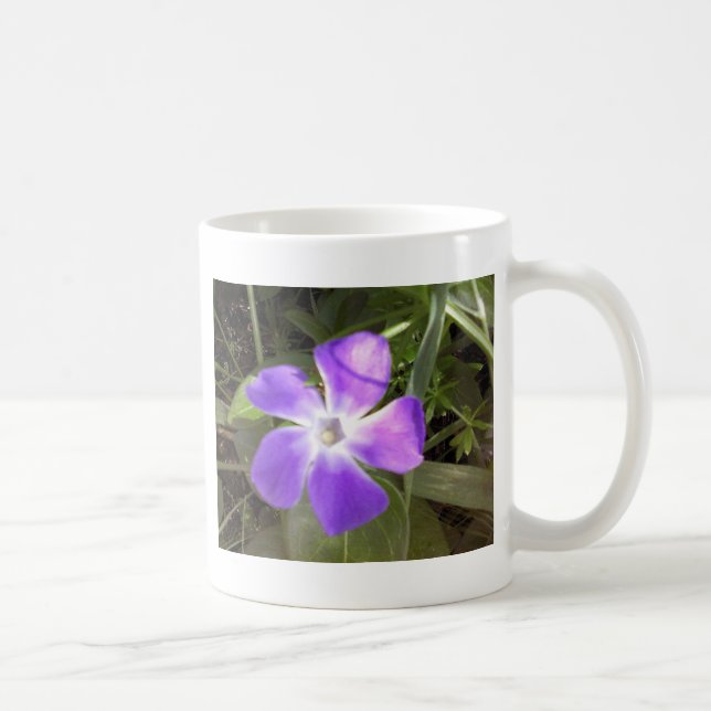 Kalifornien vildblomma kaffemugg (Höger)