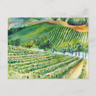 Kalifornien Vineyard Postcard Vykort