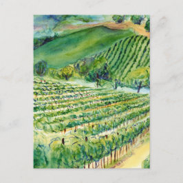 Kalifornien Vineyard vykort