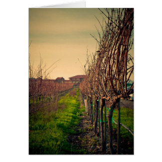 Kalifornien vingårdar OBS kort