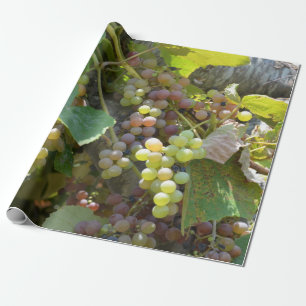 Kalifornien vingårdar presentpapper